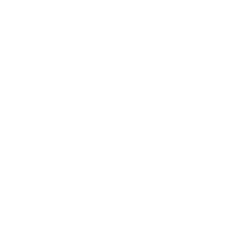 Indecium Consulting Group logo
