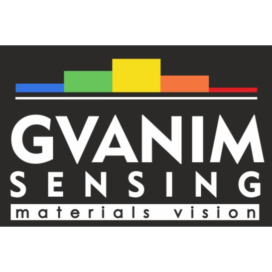 Gvanim-sensing logo