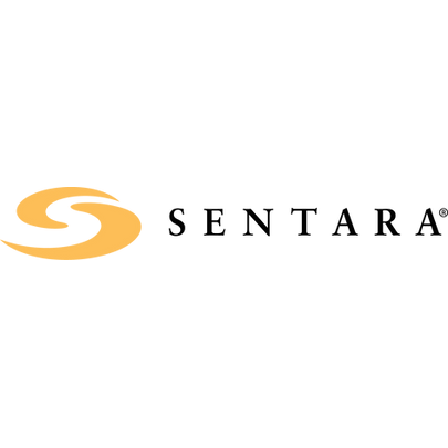 Pinpoint IT Services logo