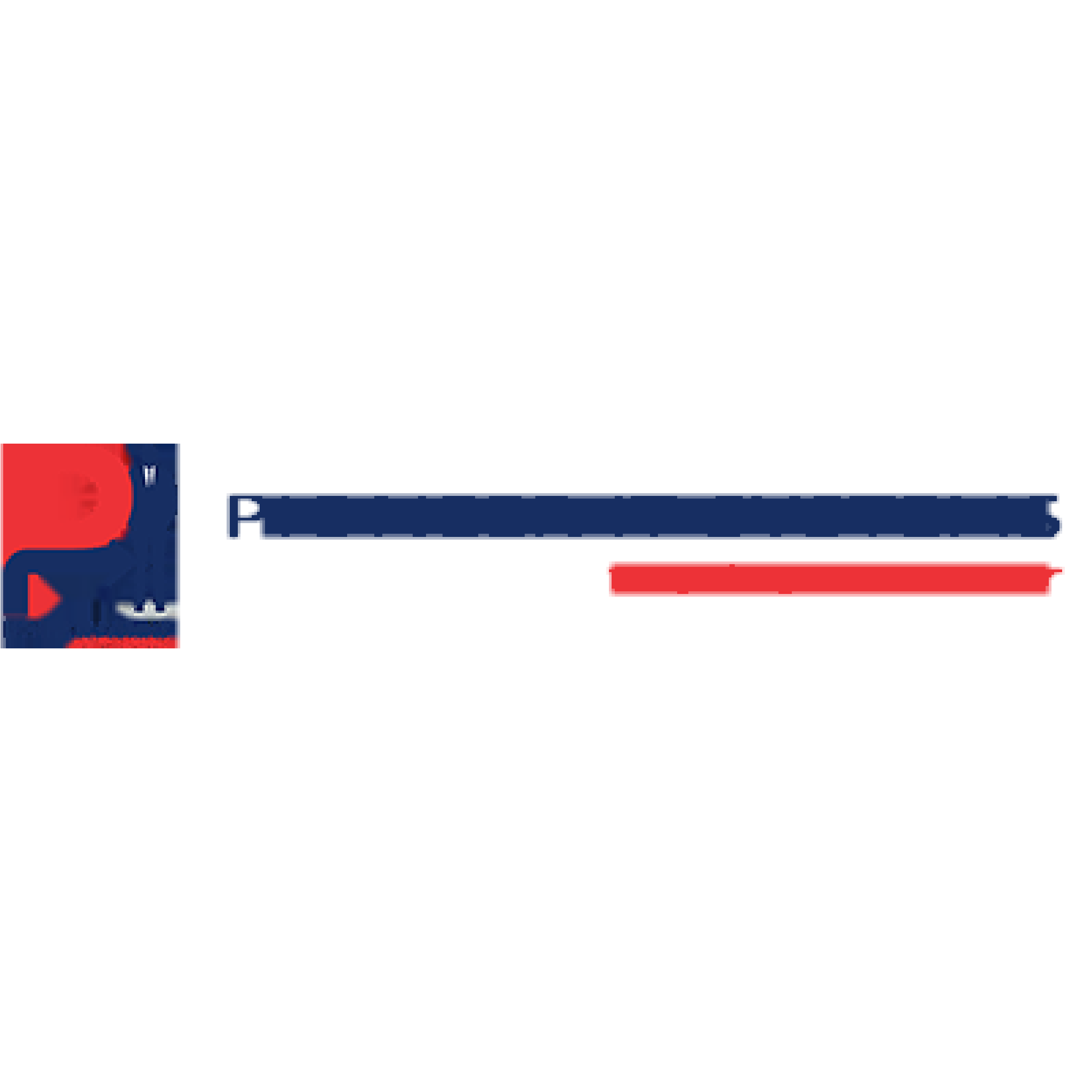 Pioneer IT Systems logo