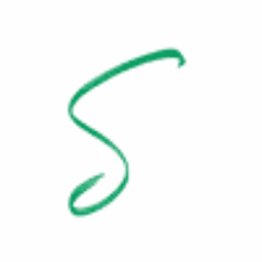 Solvo Technology Consulting logo
