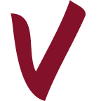 Envisionns logo