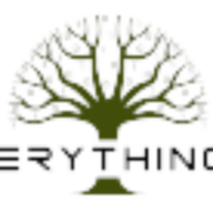 Everything I.T. LLC logo