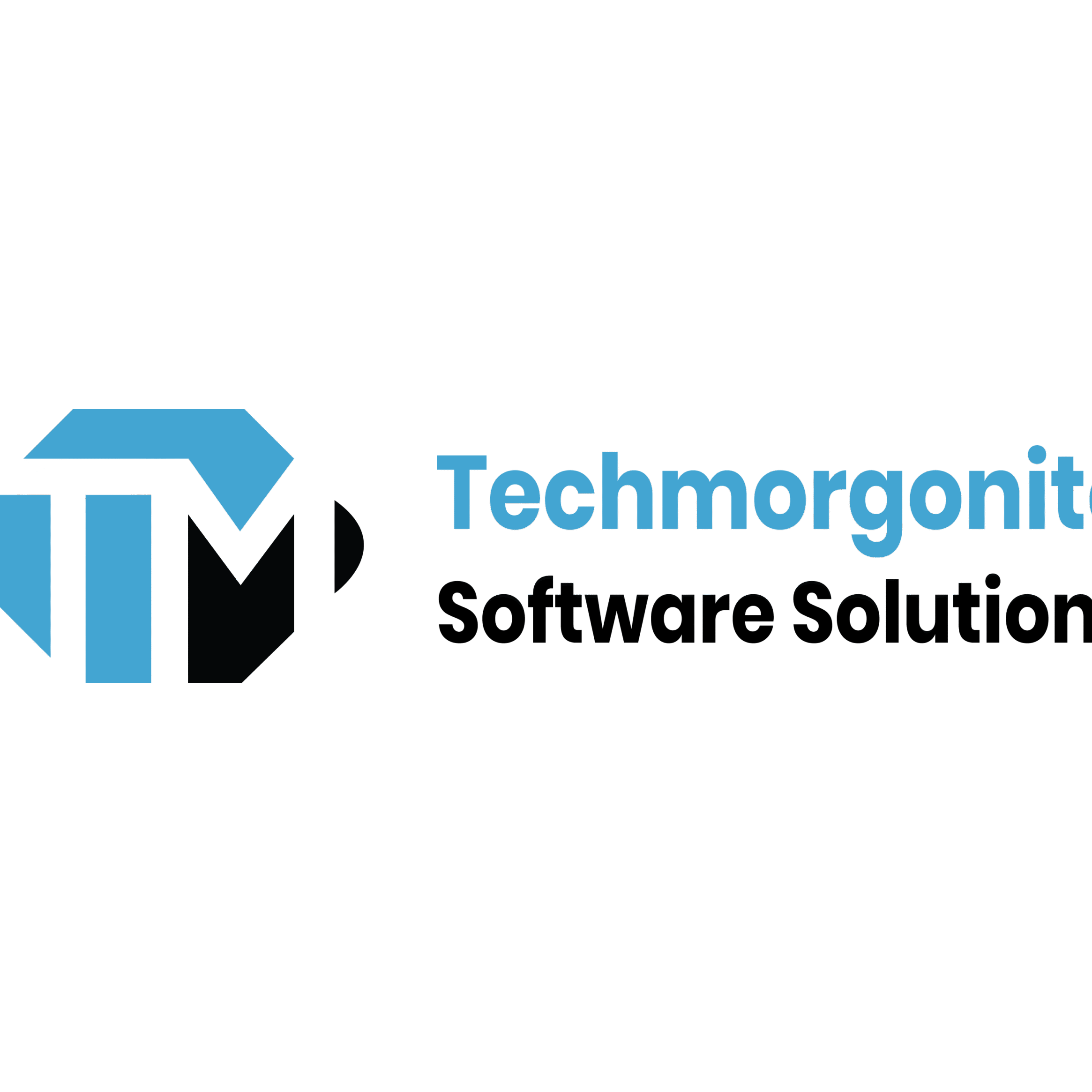 Techmorgonite Software Solutions LLC logo