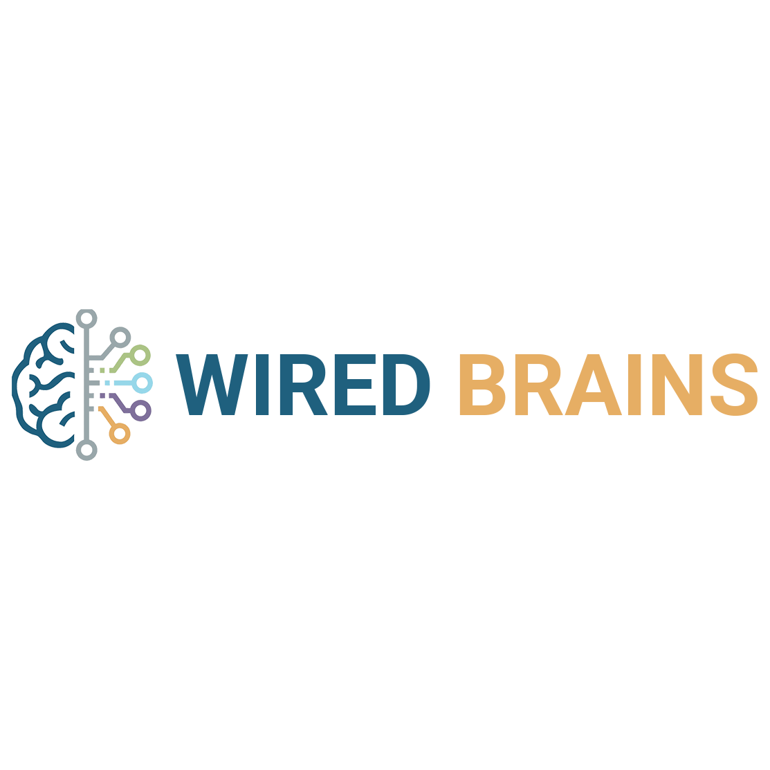WIRED BRAINS logo