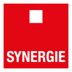 SYNERGIE INTERNATIONAL EMPLOYMENT SOLUTIONS SL logo
