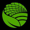 Phoenix Foods logo