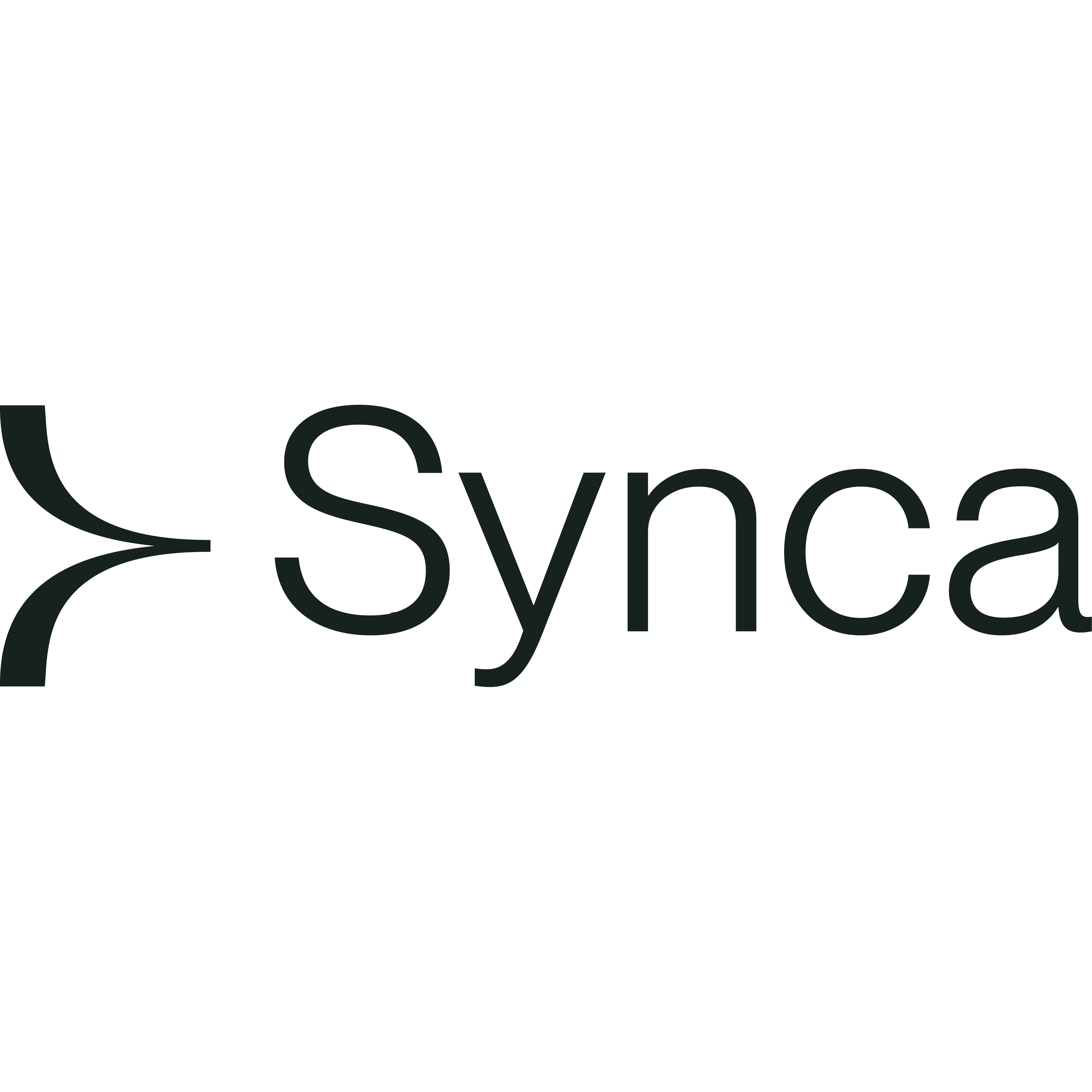 Synca AB logo