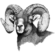 South Routt SD RE-3 logo