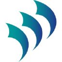 Talon Managed IT Solutions logo
