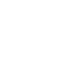 MSY Enterprises Group logo