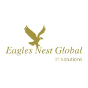 Eagles Nest Global IT Solutions logo