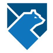Karhu Cyber logo