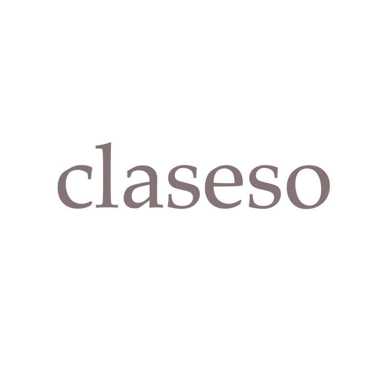 CLASESO, S.L. logo