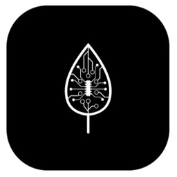 Mulberryit logo