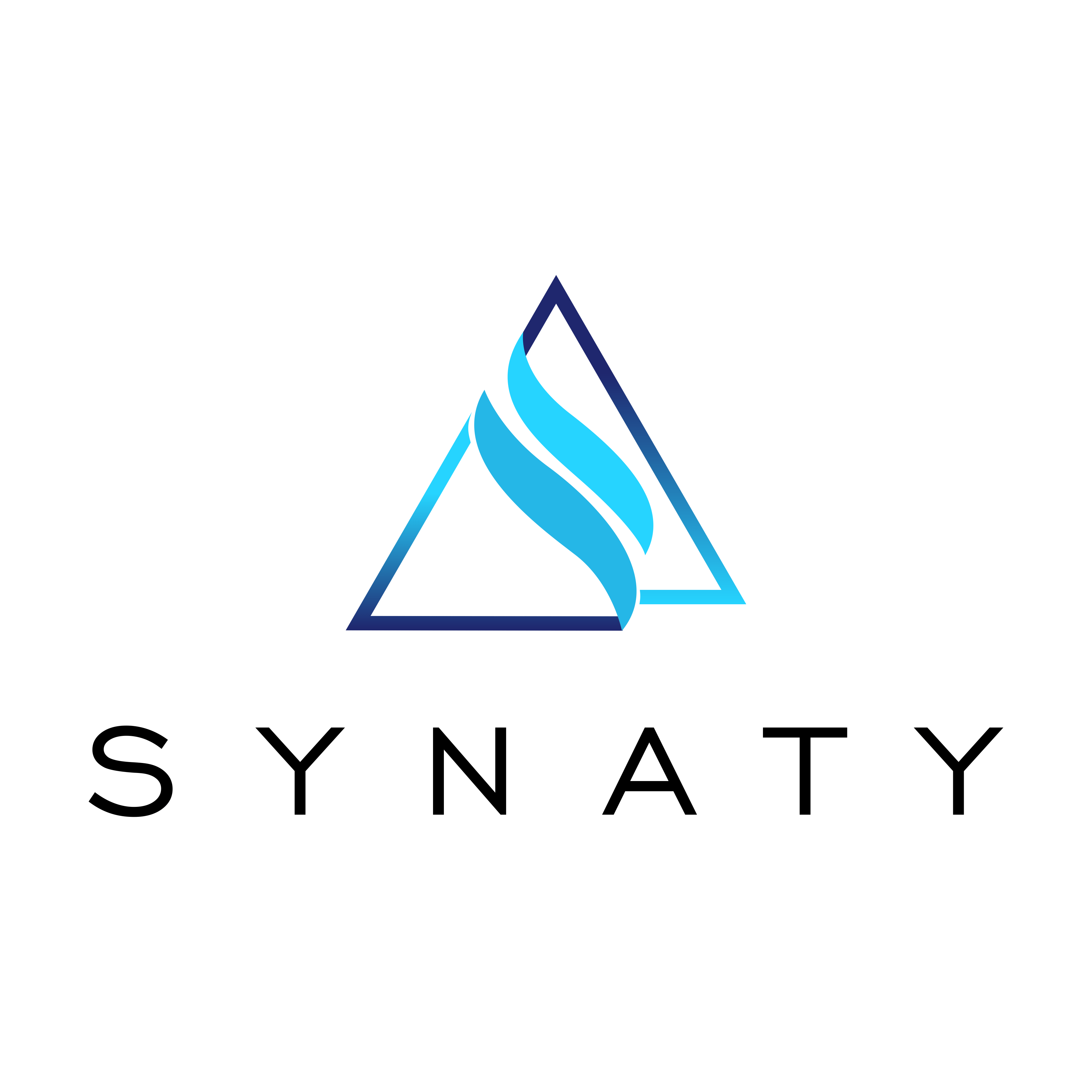 Synaty logo
