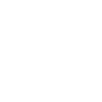 SureVeillance Security logo