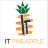 IT Pineapple logo