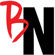 Beautiful Networks, LLC logo