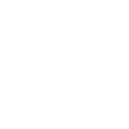 COSECURE logo