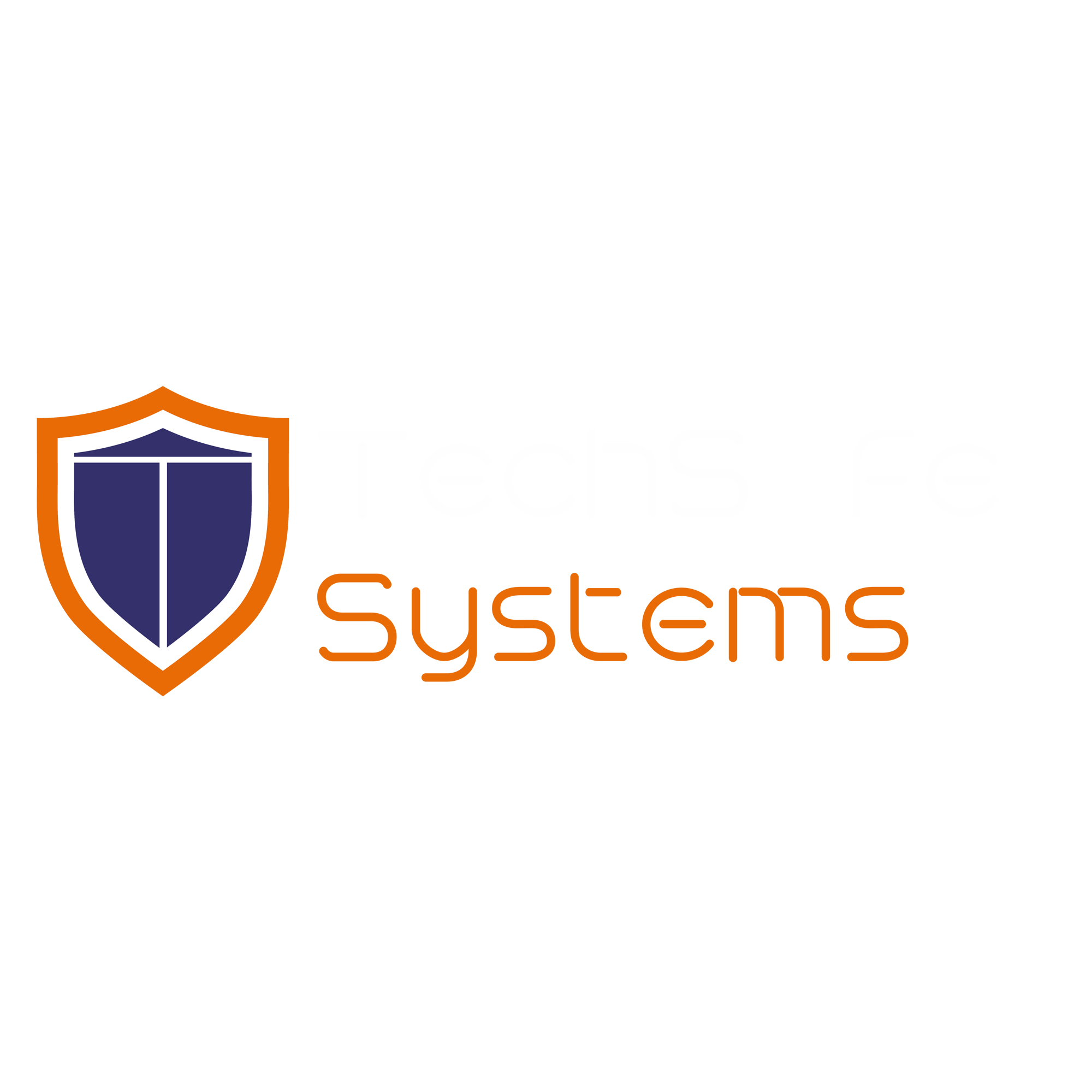 TechSafe Systems logo