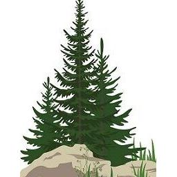 Pine Grove CRM Consulting logo
