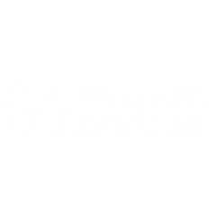 Blue-Hills-It-Services logo