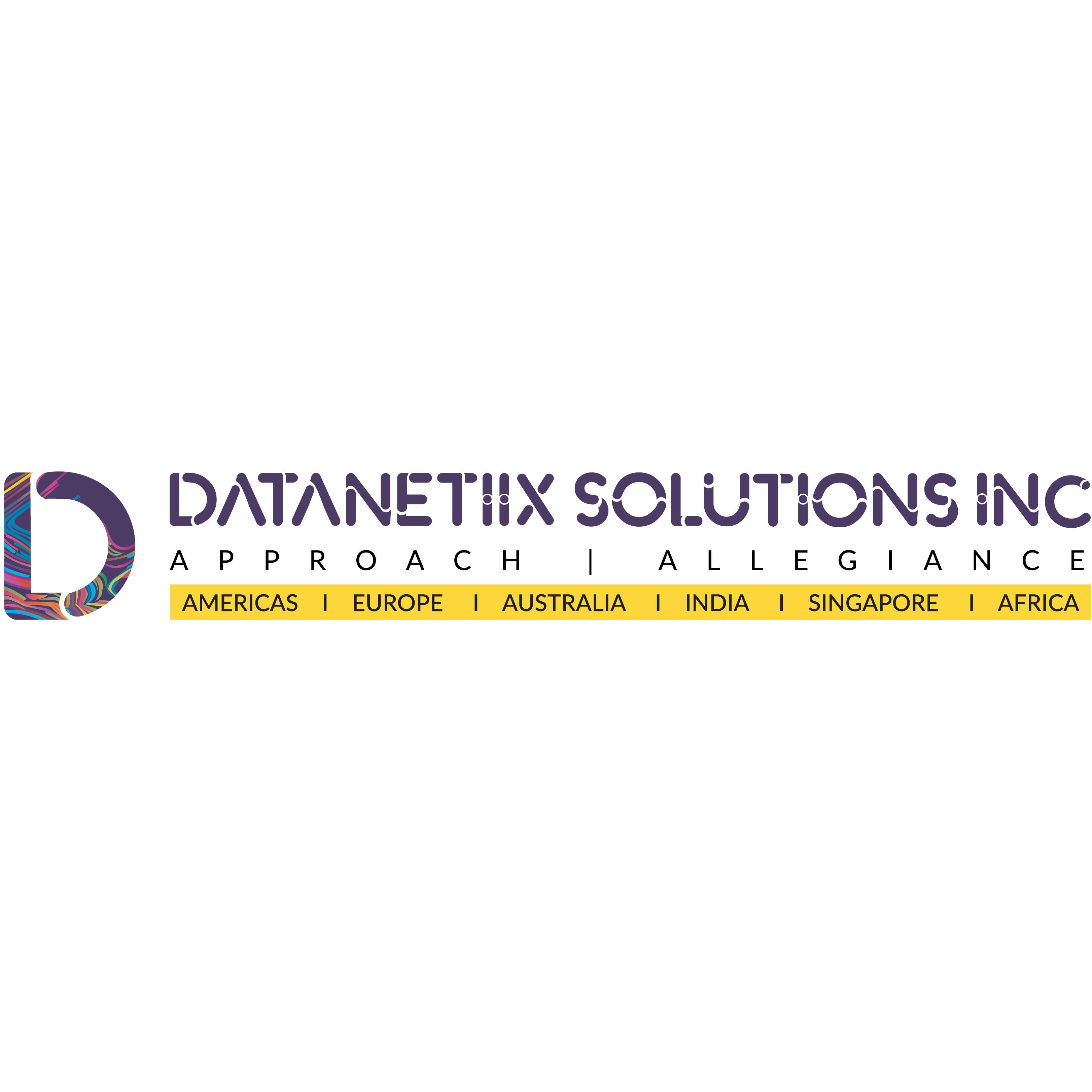 Datanetiix Solutions logo