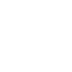 Upstream Security logo