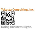 Tekesta Consulting logo