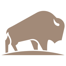 Bison Cloud Solutions logo