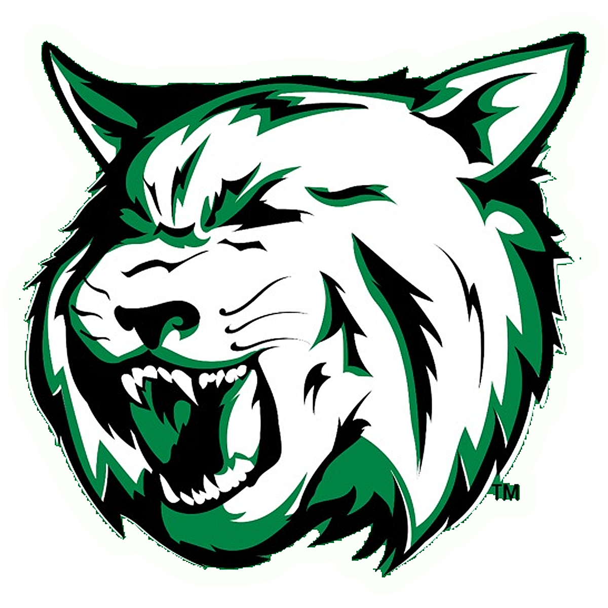Houghton Lake Community Schools logo