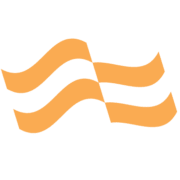 Flagship Networks logo