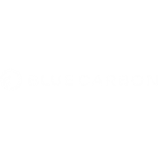 Blue Carbon Ocean, S.L. logo