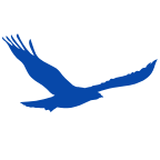 Crowflight Technology LLC logo
