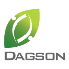 Dagson Consulting Services logo