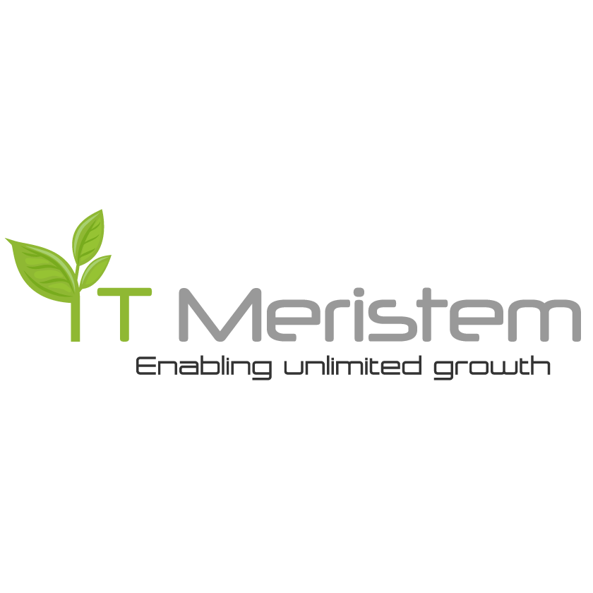 IT Meristem logo