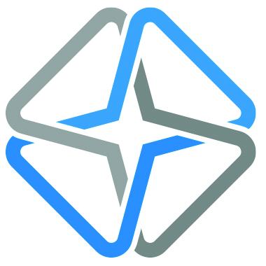 Carpe Diem Technology Solutions logo
