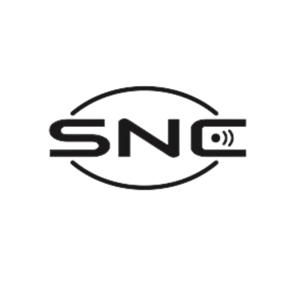 Simple Network Consulting logo