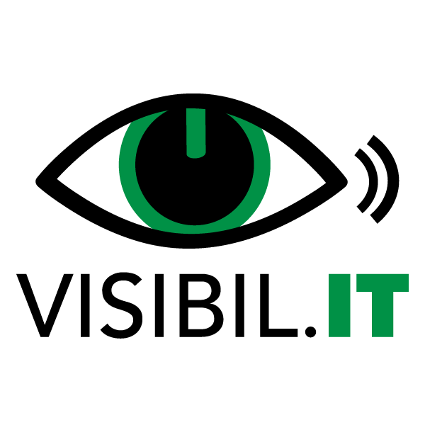 Visibil.IT logo