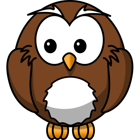 Hoolutions IT Consulting logo