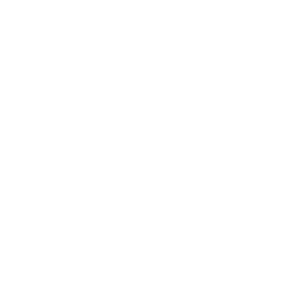 Delmarva Digital logo
