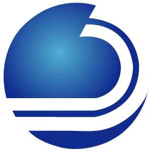 Dynamic Enterprise Solutions logo
