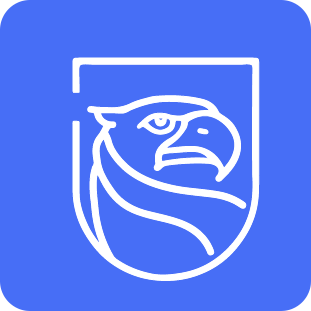 Cyber Dacians logo