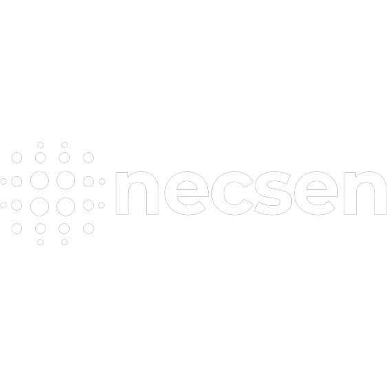 NECSEN logo