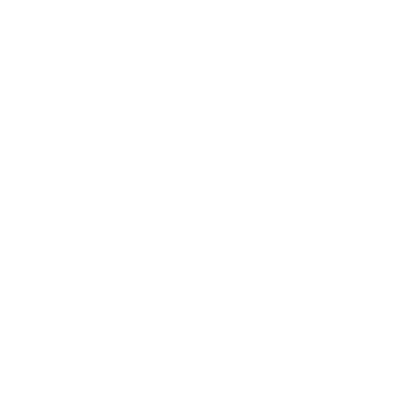Wave Connect logo