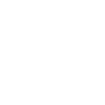 Digital Signal, Inc logo