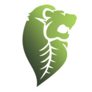 Nine Archs logo