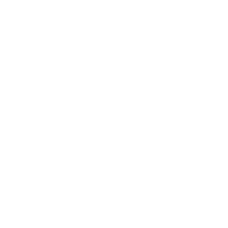 Tsmaine logo