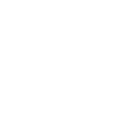 Solution King logo